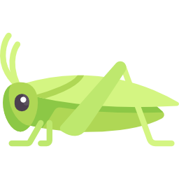 Avatar of Vocabulary Set Insect