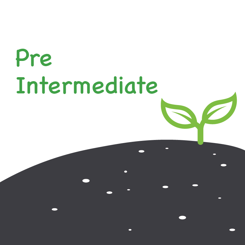 Avatar of Vocabulary Set Tingkat A2