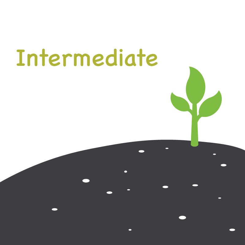 Avatar of Vocabulary Set Tingkat B1