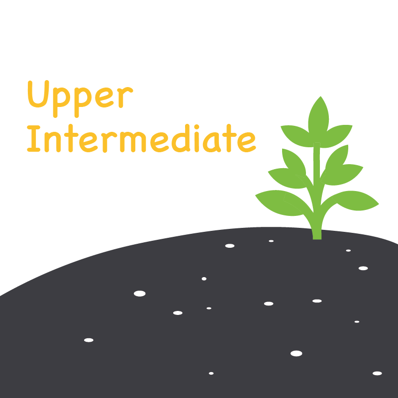 Avatar of Vocabulary Set Tingkat B2