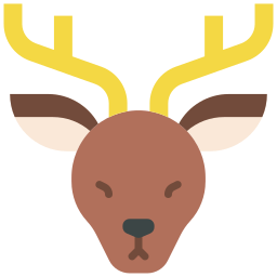 Avatar of Vocabulary Set C1 - Hewan Liar