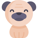 Avatar of Vocabulary Set Anjing