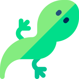 Avatar of Vocabulary Set Anak Hewan