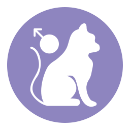 Avatar of Vocabulary Set Hewan Jantan dan Betina