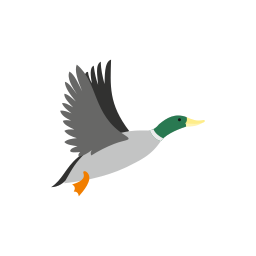 Avatar of Vocabulary Set Unggas Air