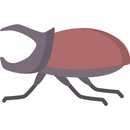 Avatar of Vocabulary Set Kumbang dan Kecoa