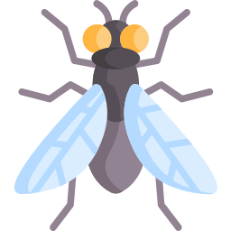 Avatar of Vocabulary Set Lalat dan Nyamuk