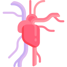 Avatar of Vocabulary Set Sistem Peredaran Darah