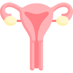 Avatar of Vocabulary Set Sistem Reproduksi