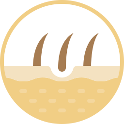 Avatar of Vocabulary Set Kulit dan Rambut Wajah