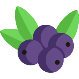 Avatar of Vocabulary Set Buah Beri