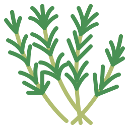 Avatar of Vocabulary Set Herbal