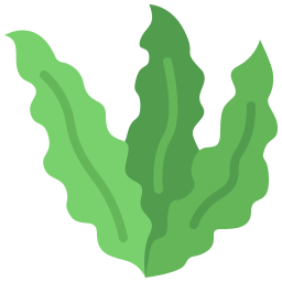 Avatar of Vocabulary Set Jamur, Fungi, dan Rumput Laut