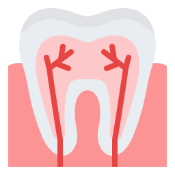 Avatar of Vocabulary Set Kedokteran Gigi