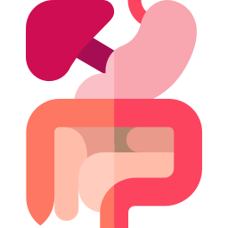 Avatar of Vocabulary Set Cabang Medis Terkait Organ Internal