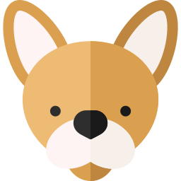 Avatar of Vocabulary Set Unit 16: Apakah Anda Punya Hewan Peliharaan?