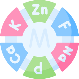 Avatar of Vocabulary Set Nutrisi Dasar