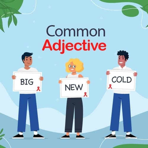 Avatar of Vocabulary Set 500 Kata Sifat Bahasa Inggris Paling Umum