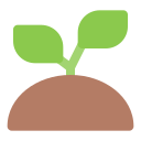 Avatar of Vocabulary Set Memulai atau Muncul