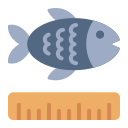 Avatar of Vocabulary Set Ukuran