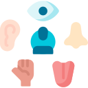 Avatar of Vocabulary Set Persepsi indra