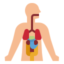 Avatar of Vocabulary Set Tubuh manusia