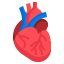 Avatar of Vocabulary Set Anatomi dan Genetika