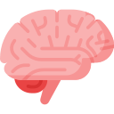 Avatar of Vocabulary Set Neurologi dan Biokimia Darah