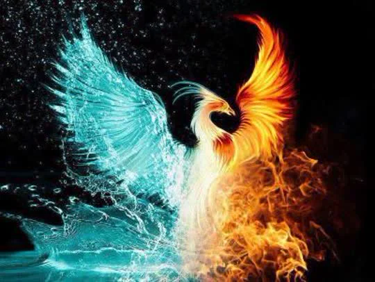Apa arti phoenix? | Kamus Inggris-Indonesia Lingoland