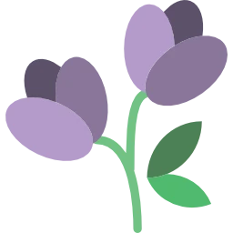 Avatar of Vocabulary Set A2 - Bunga, Buah, dan Kekacang