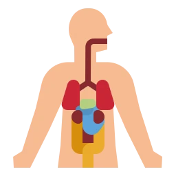 Avatar of Vocabulary Set Badan Manusia