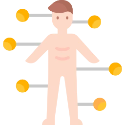 Avatar of Vocabulary Set Bagian tubuh