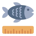 Avatar of Vocabulary Set 尺寸