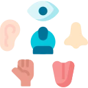 Avatar of Vocabulary Set Восприятие чувств