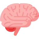 Avatar of Vocabulary Set Neurologi dan Biokimia Darah