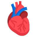 Avatar of Vocabulary Set Anatomi dan Genetik