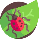 Avatar of Vocabulary Set Zoologi