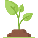 Avatar of Vocabulary Set Pertanian dan Tanaman