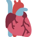 Avatar of Vocabulary Set Menselijke anatomie