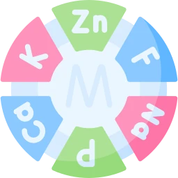 Avatar of Vocabulary Set Nutrien Asas