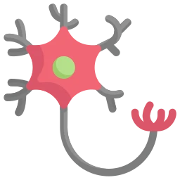 Avatar of Vocabulary Set Sinir Sistemi