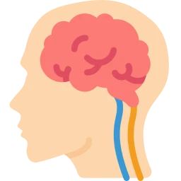 Avatar of Vocabulary Set Beyin