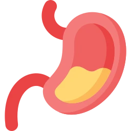Avatar of Vocabulary Set Sindirim Sistemi