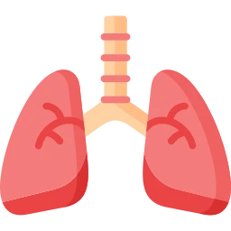 Avatar of Vocabulary Set Solunum Sistemi