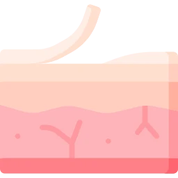 Avatar of Vocabulary Set Cilt