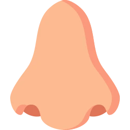 Avatar of Vocabulary Set Burun