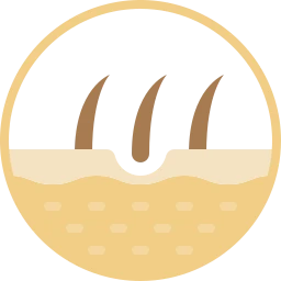 Avatar of Vocabulary Set Cilt ve Yüz Kılı