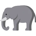 Avatar of Vocabulary Set Büyük Memeliler