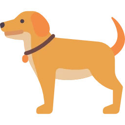 Avatar of Vocabulary Set Köpek Türleri