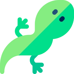 Avatar of Vocabulary Set Hayvan Yavruları